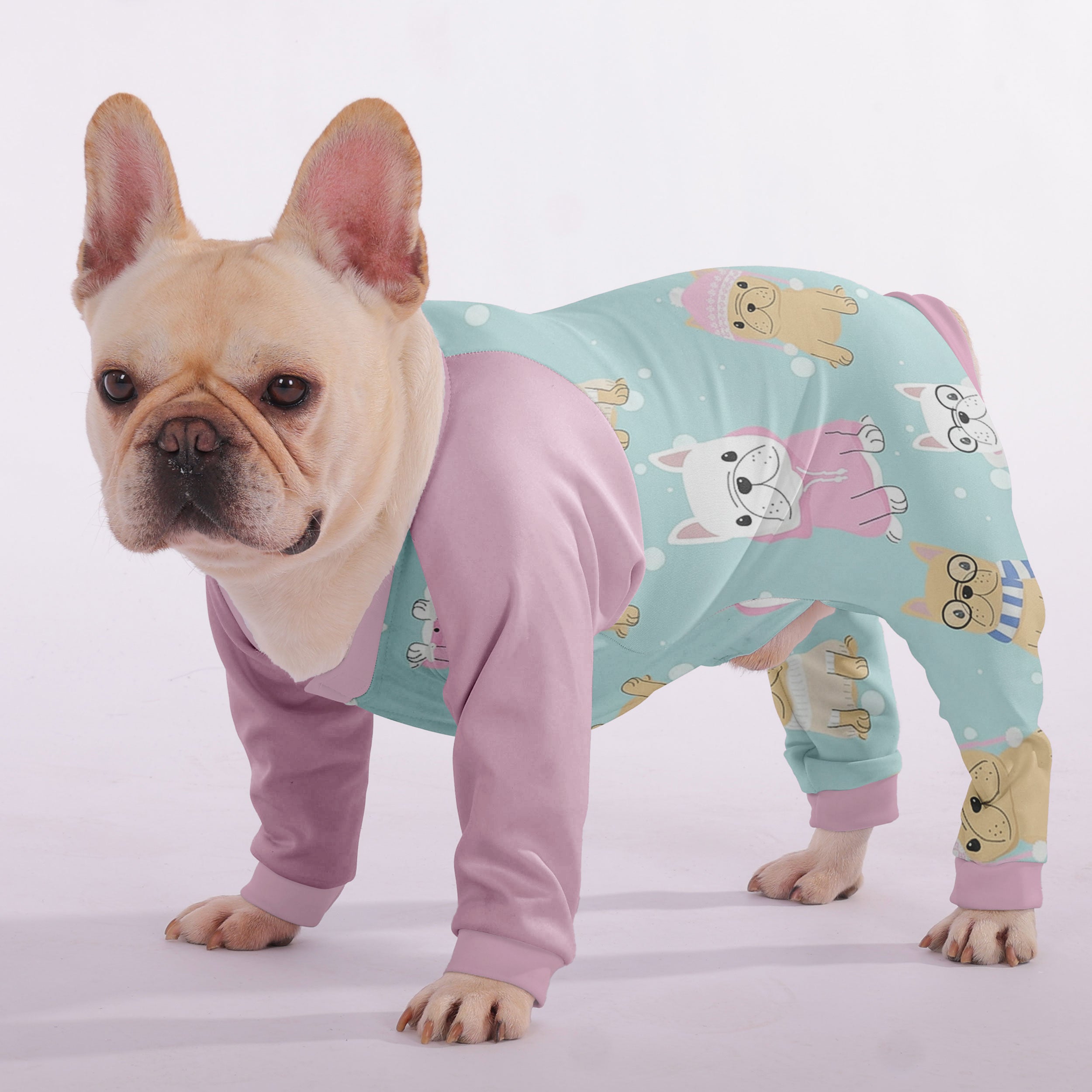 - Vet-recommended Frenchie Pajama For Frenchie Pups | Vet-recommended
