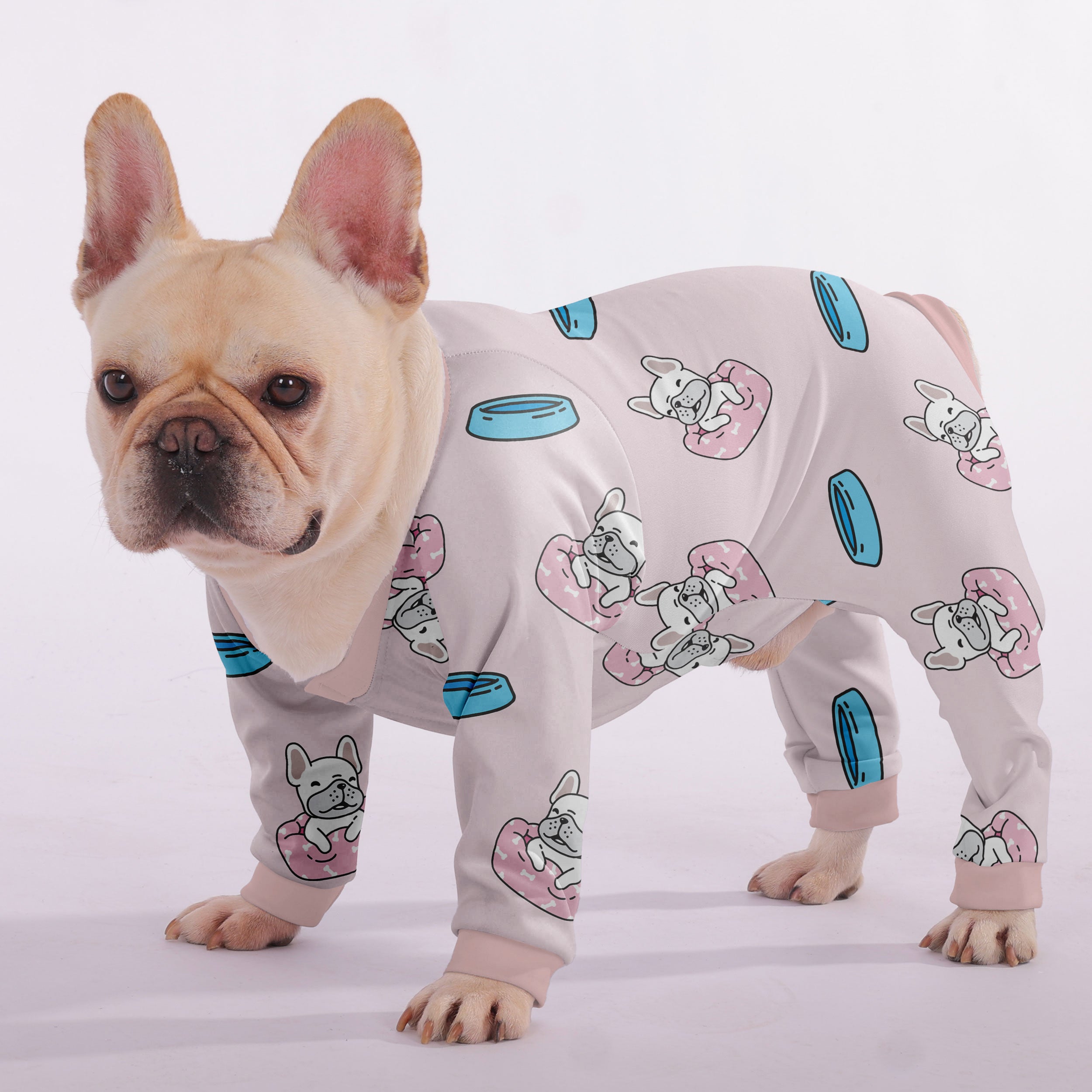 Biscuit - Frenchie Pajama