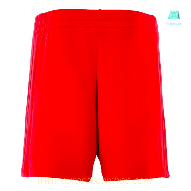 2024-2025 Bayern Munich DNA Shorts (Red)