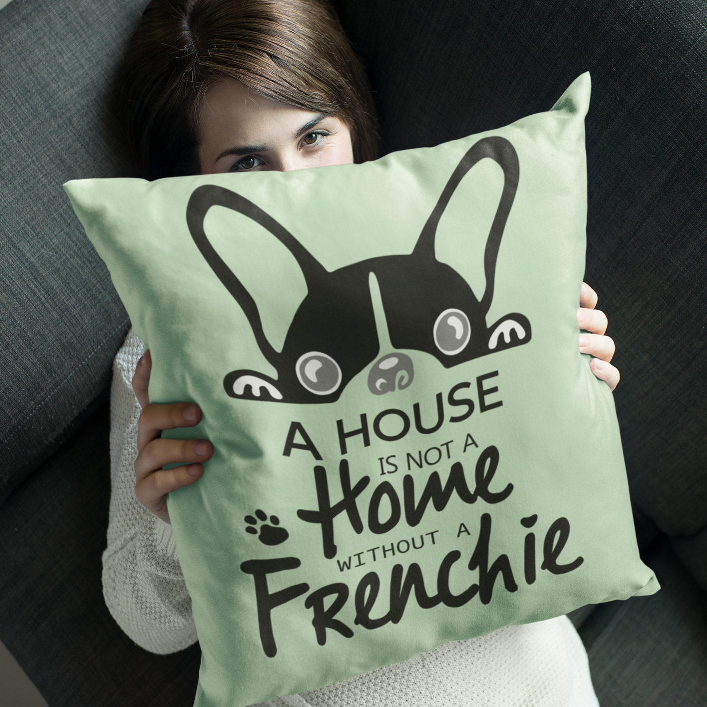 Vet-recommended Frenchie Home - Comfortable Pillow Cover Winter Wear