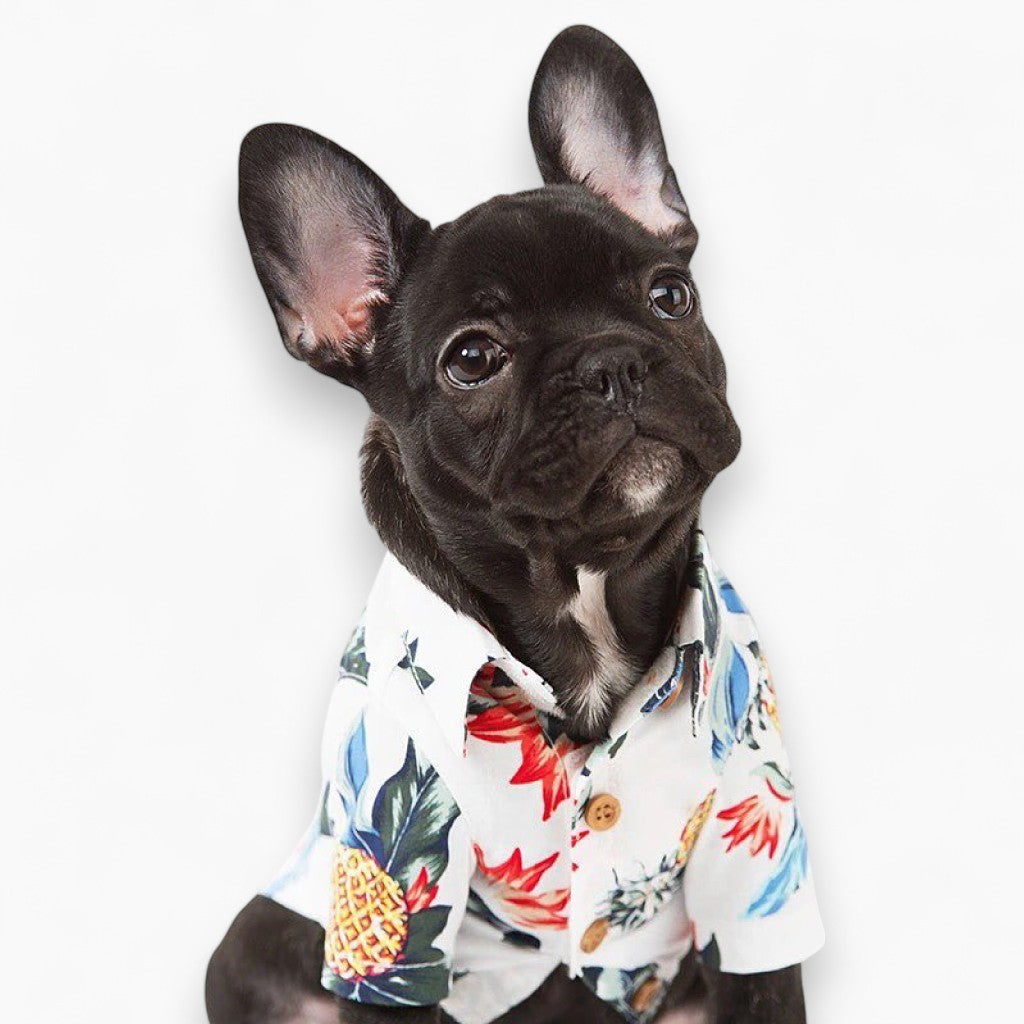 - Bulldog Inspired Shirts (cs33) Pet Owner Apparel | Unique Design