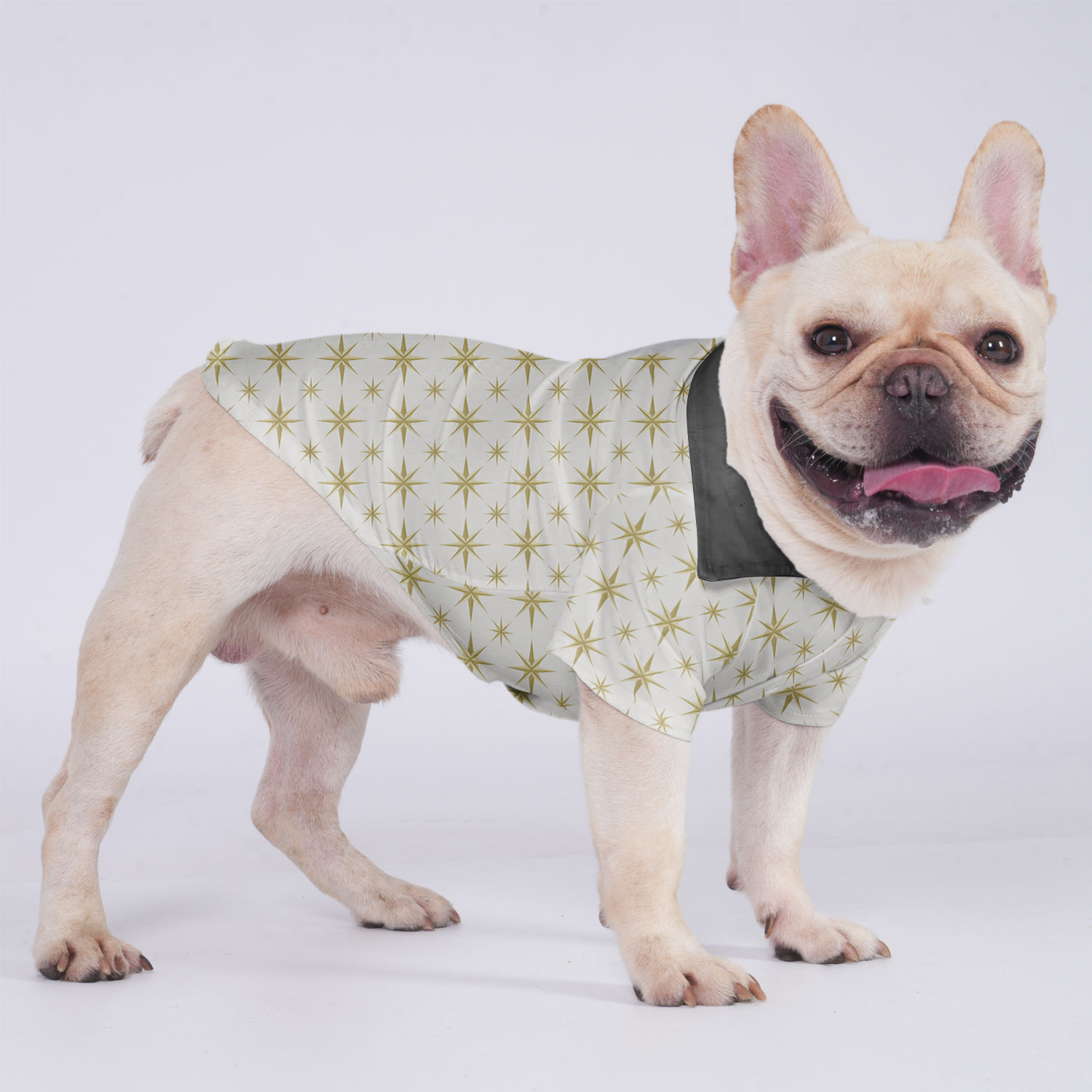 Durable Hawaiian Shirt For Frenchies Frenchie Themed Wear | Trendy Style