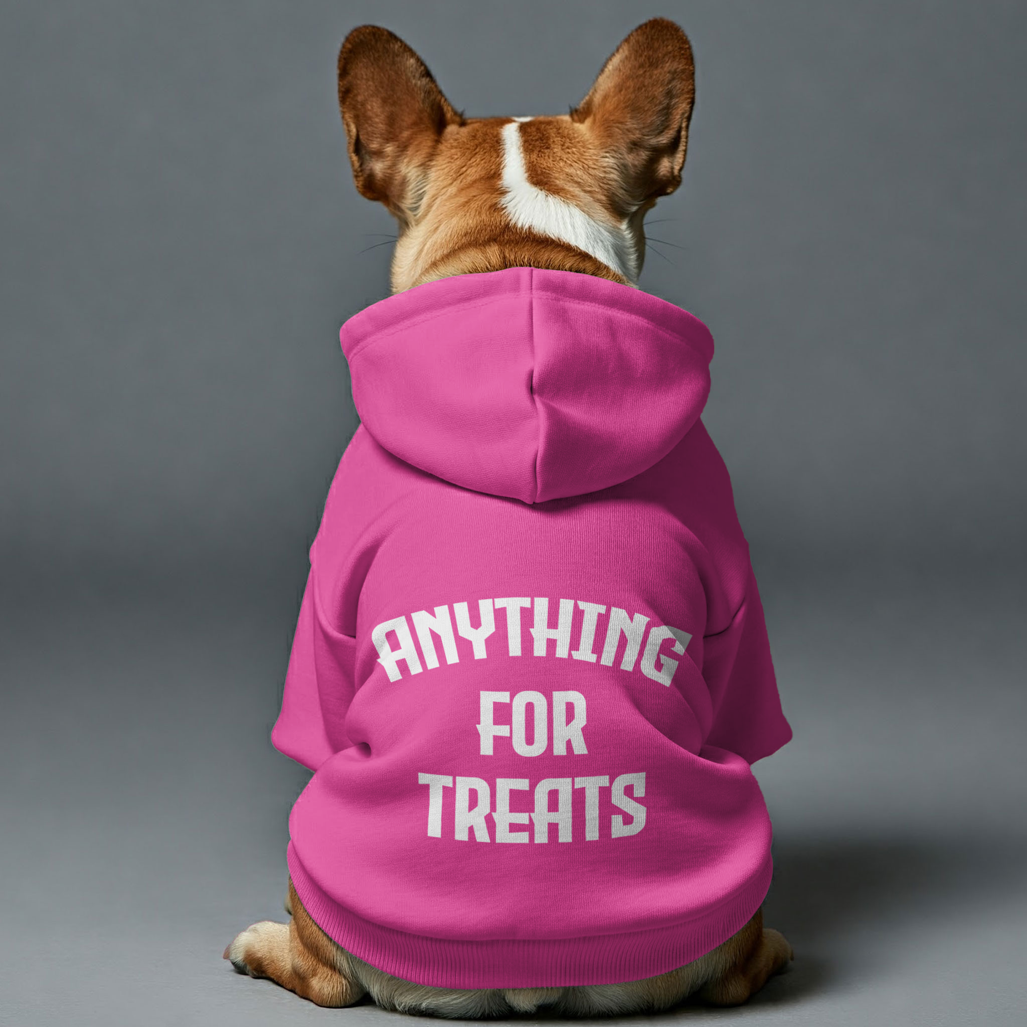 Everyday Anything For Treats - Personalized French Bulldog Hoodies Wi...