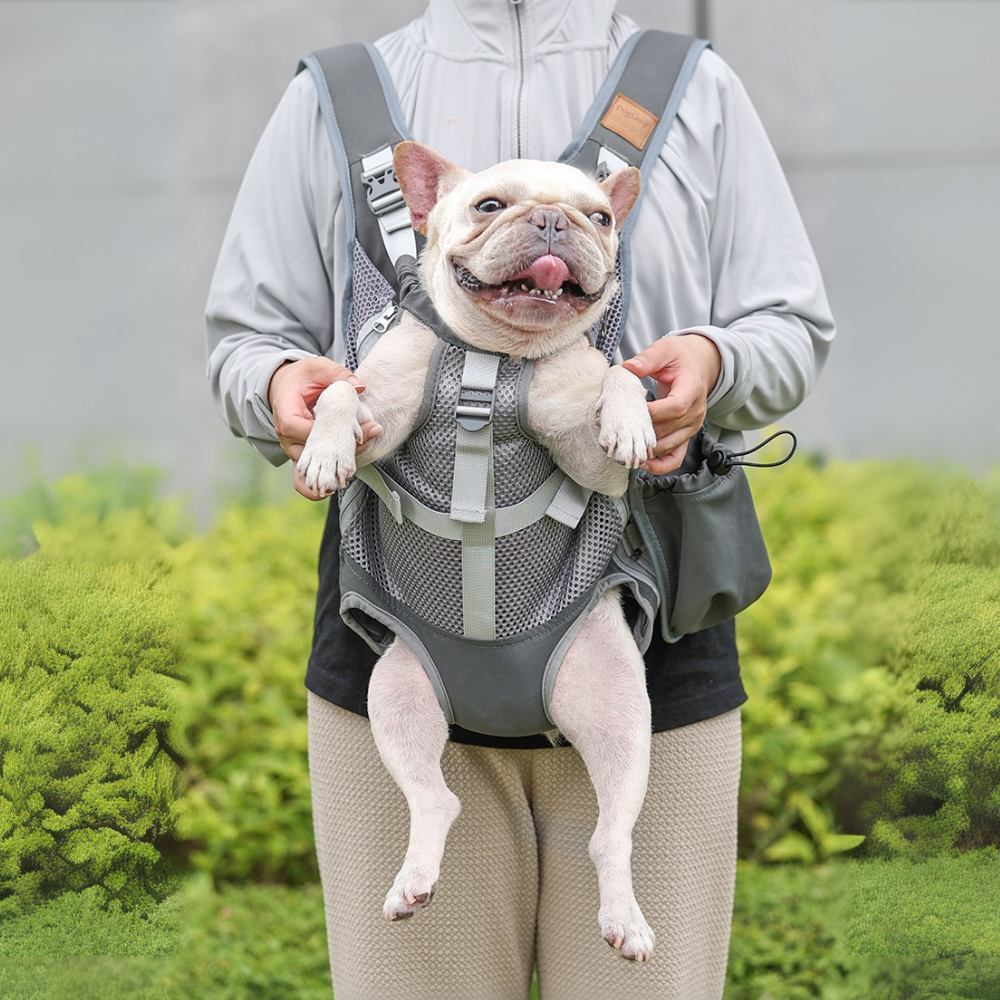 Carrier Backpack – Travel And Hiking Bag For Frenchies Winter Wear