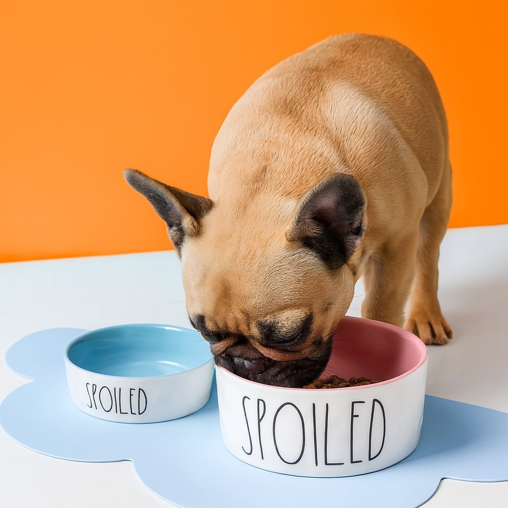 Pet-Lover Bowlzy French Bulldog Spoiled Bowl – Non-slip Cartoon Food ...