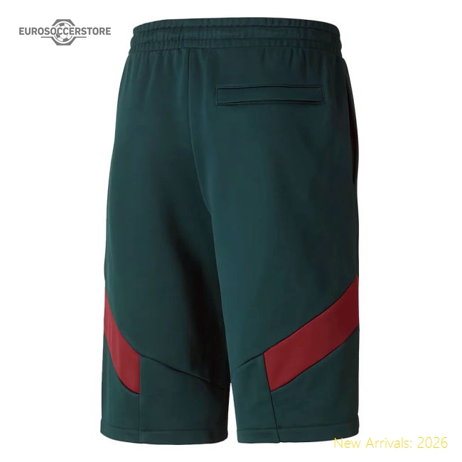 2019-2020 Italy Puma Iconic MCS Shorts (Pine)