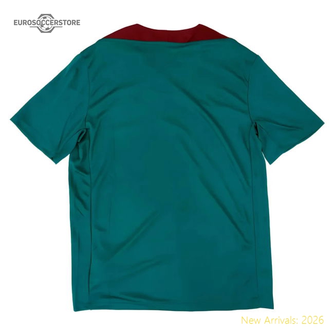 Performance 2024-2025 Psg Strike Dri-Fit Training Shirt (Teal)