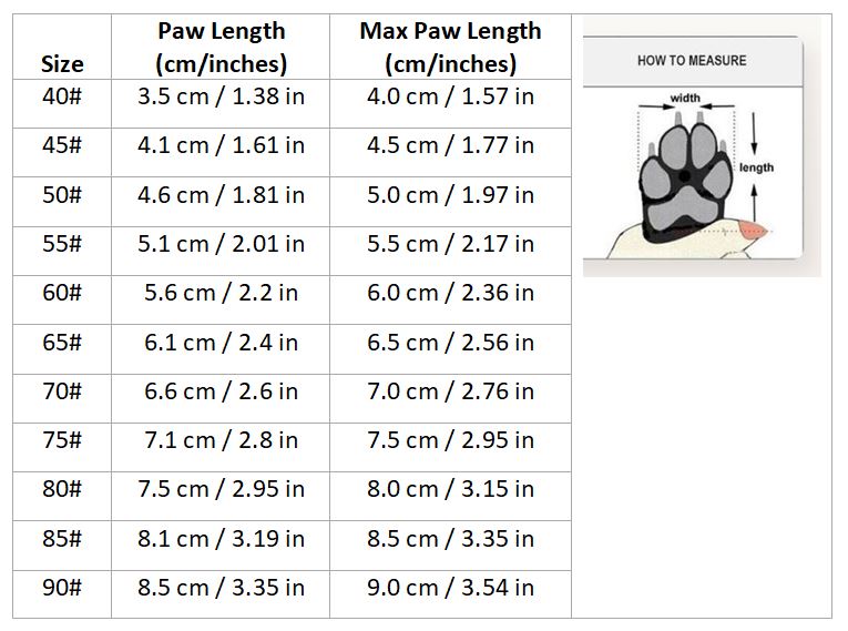 Lightweight Mesh Frenchie Shoes – Perfect for Summer Walks