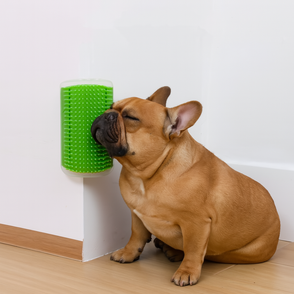 French Bulldog Rubpaw French Bulldog Hair Removal – Gentle Deshedding