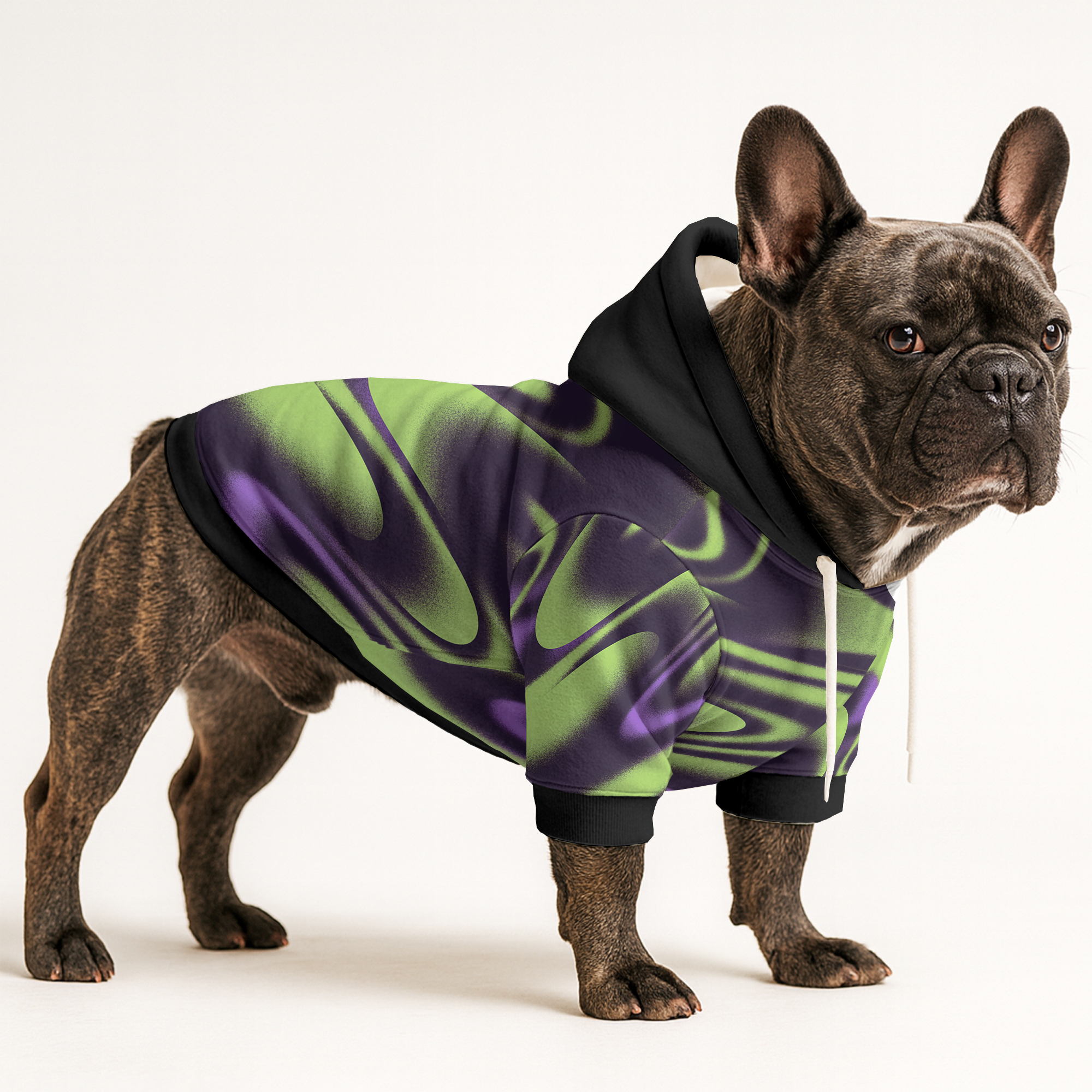 Minimal-Aesthetic Bowen - Frenchie Hoodie for French Bulldog Lovers