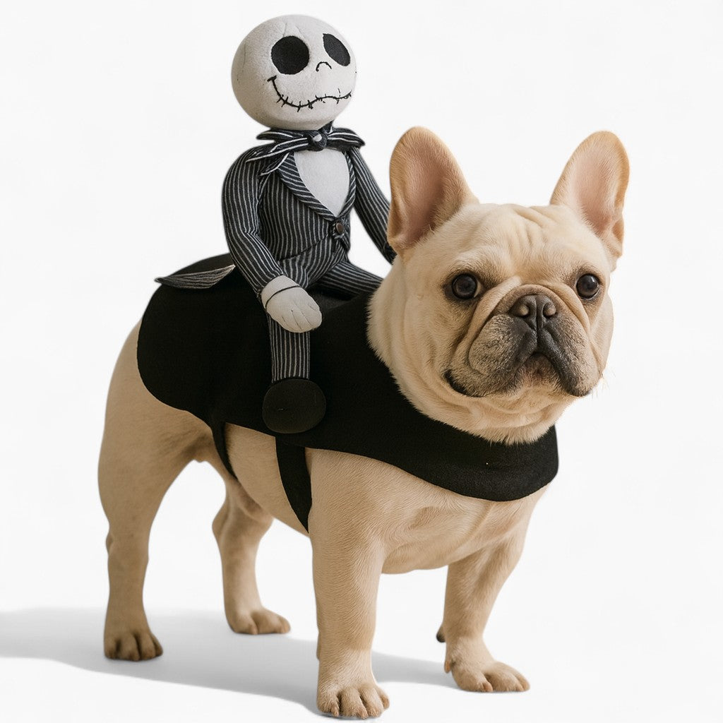 French Bulldog Bonerider Frenchie Jack Rider Costume – Funny Halloween