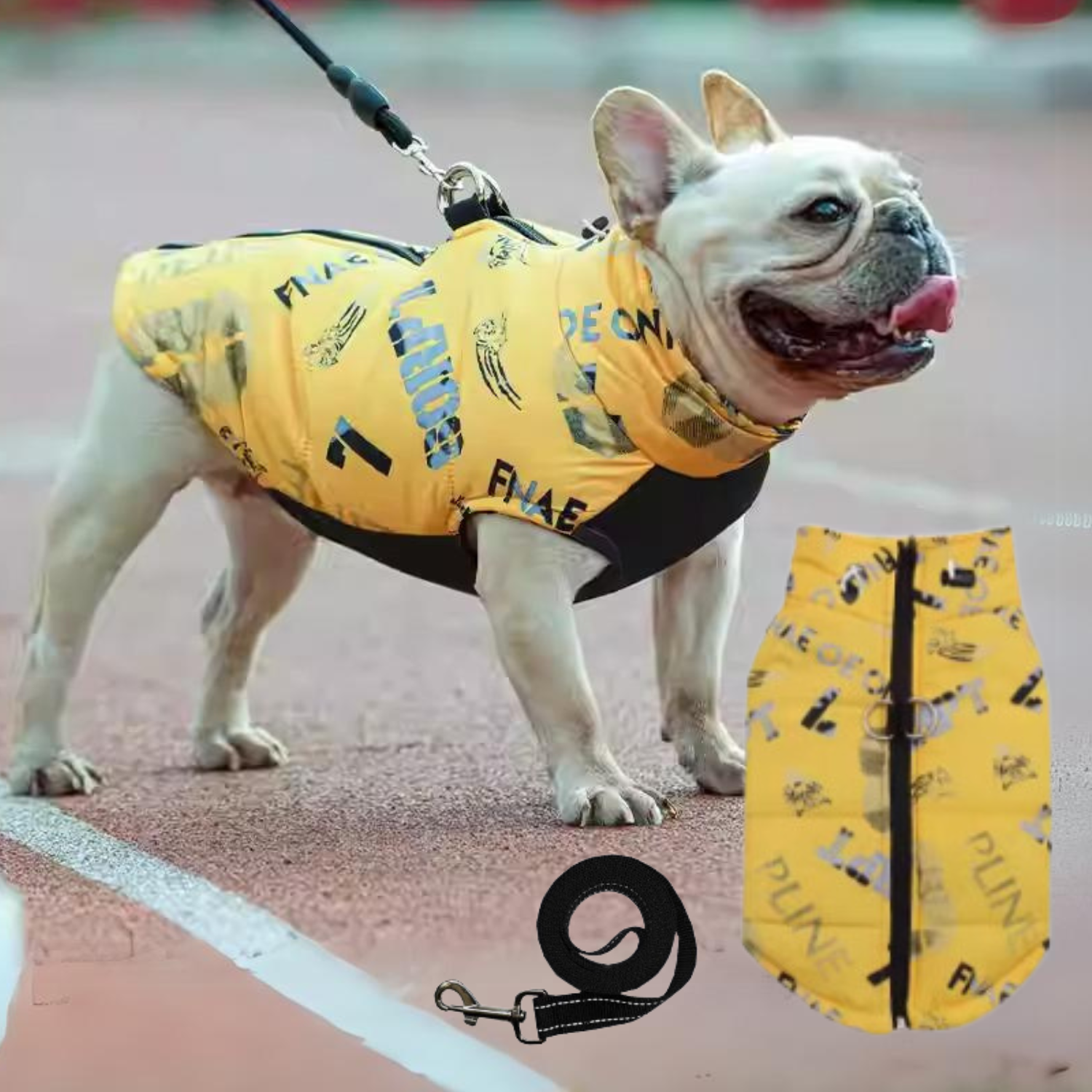 - Comfortable Premium Frenchie Jacket Outdoor Use | Non-slip Design