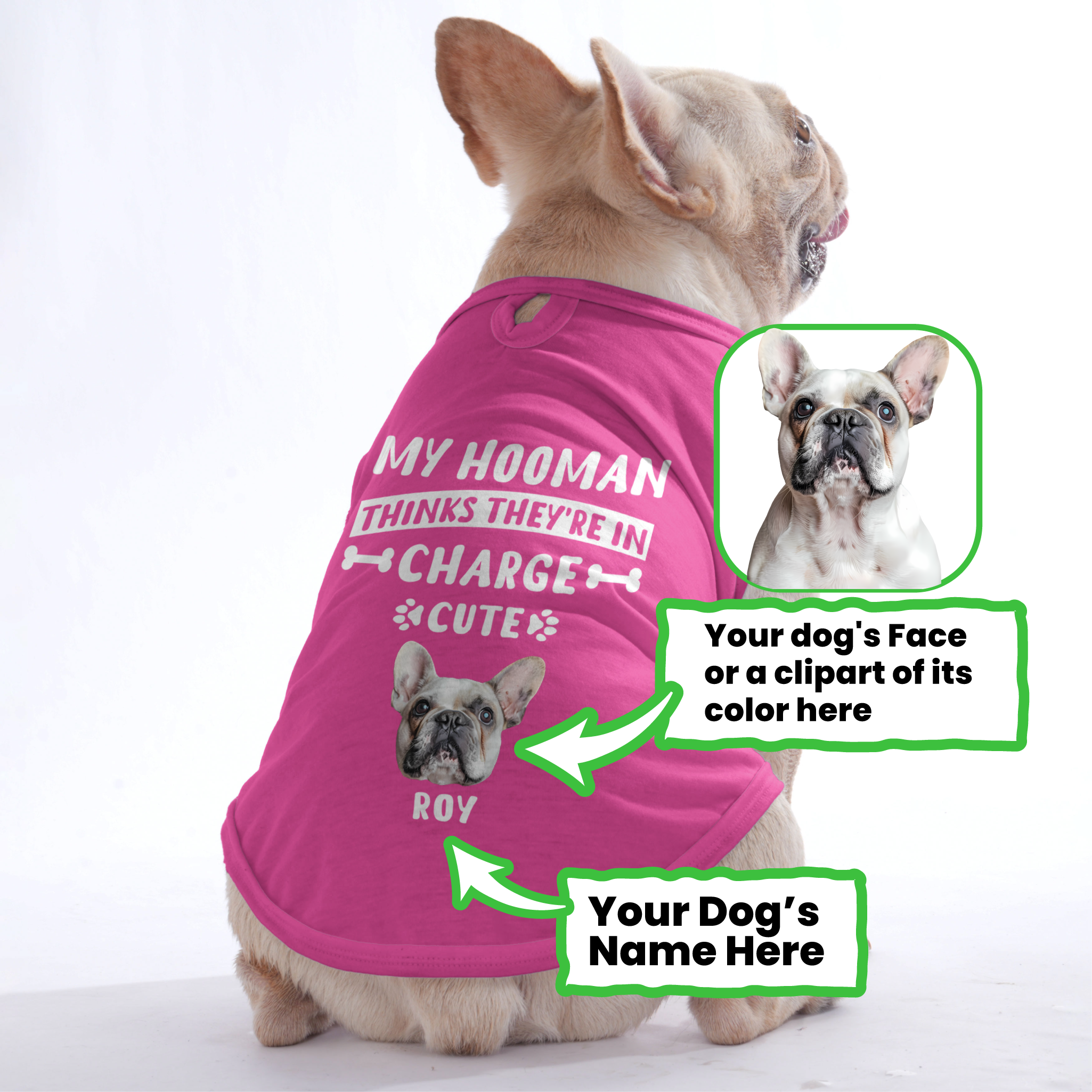 Cozy My Hooman - Personalized Frenchie Shirt | Custom Dog T-shirt For...