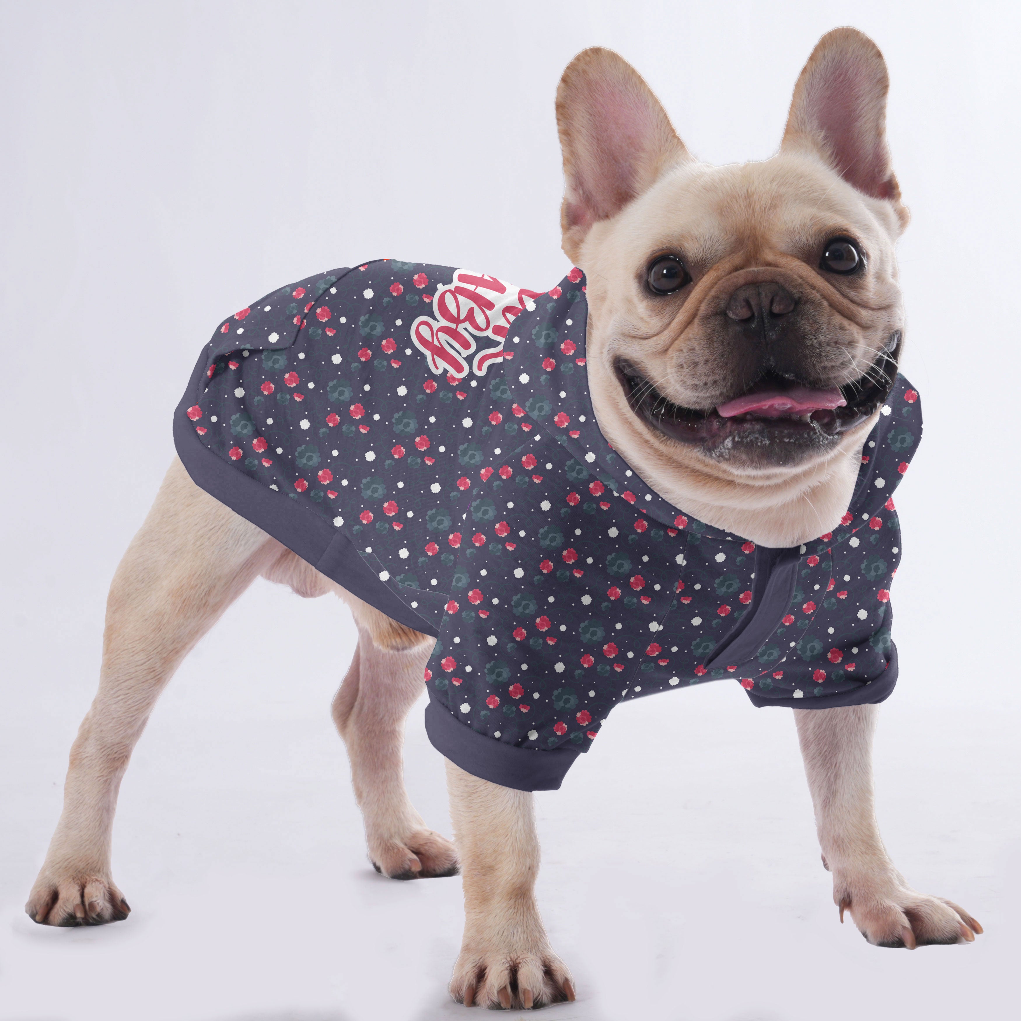 For French Bulldog | Frenchie Shop Original Everyday Use | Comfy Fit