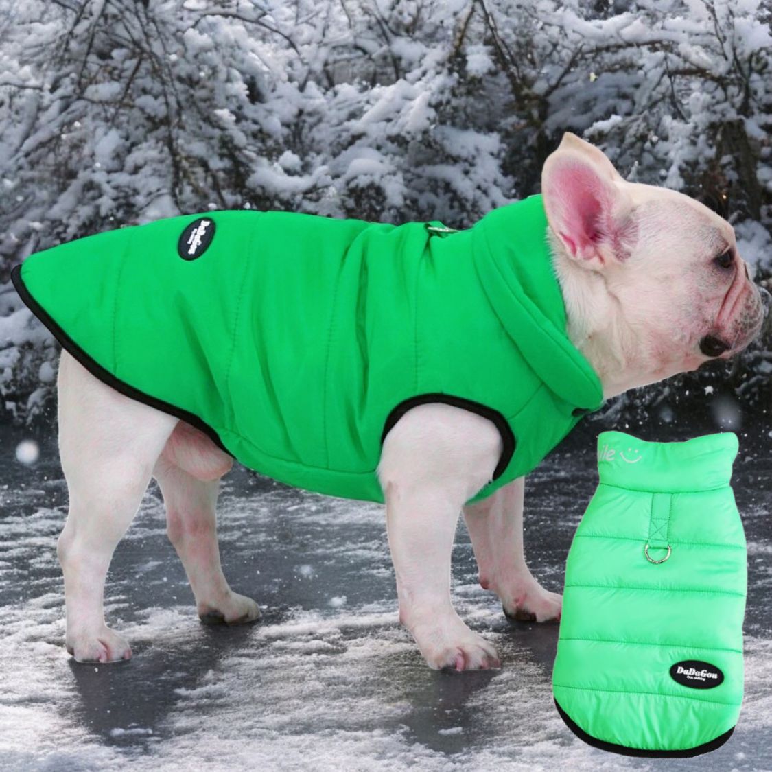 Street-Ready Premium Frenchie Winter Jacket - Comfortable Vest With D...