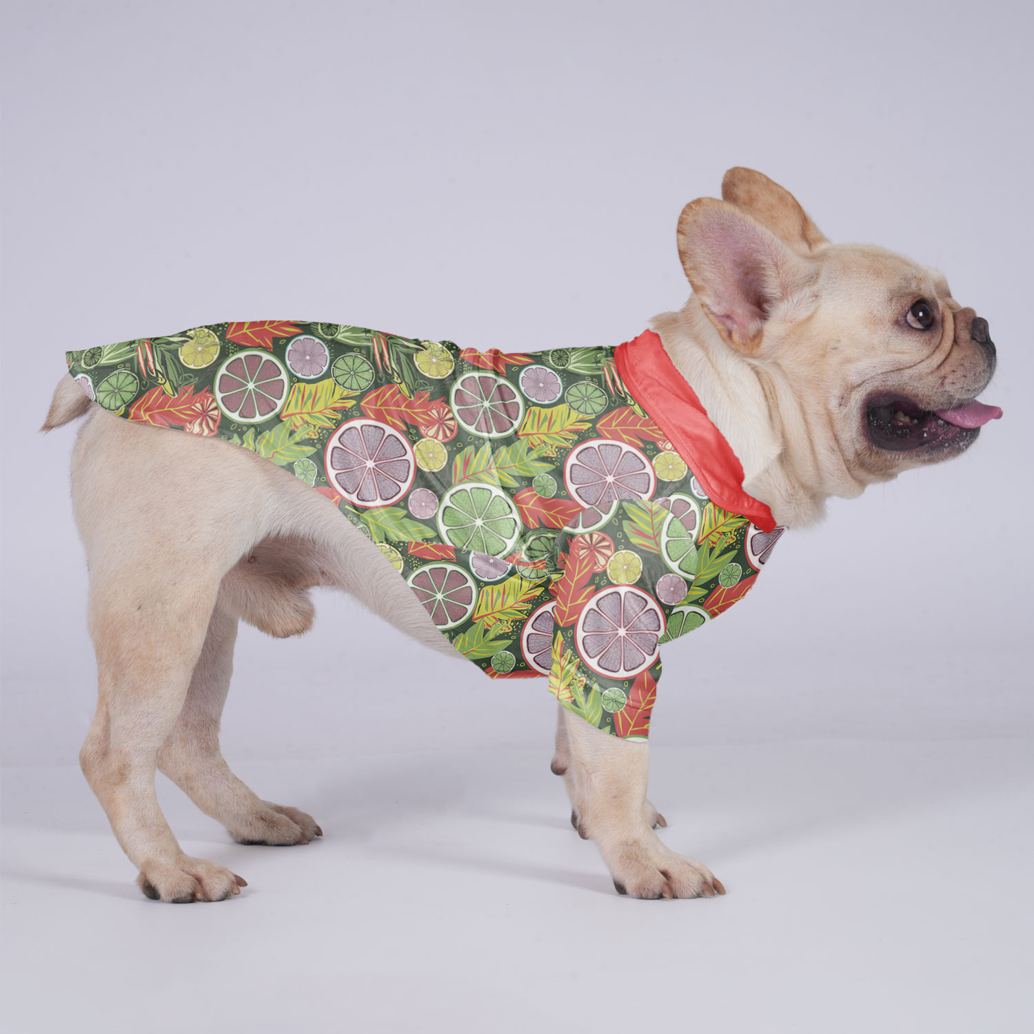 Stylish Premium Loki - Hawaiian Shirt For Frenchies for Fashion Lovers