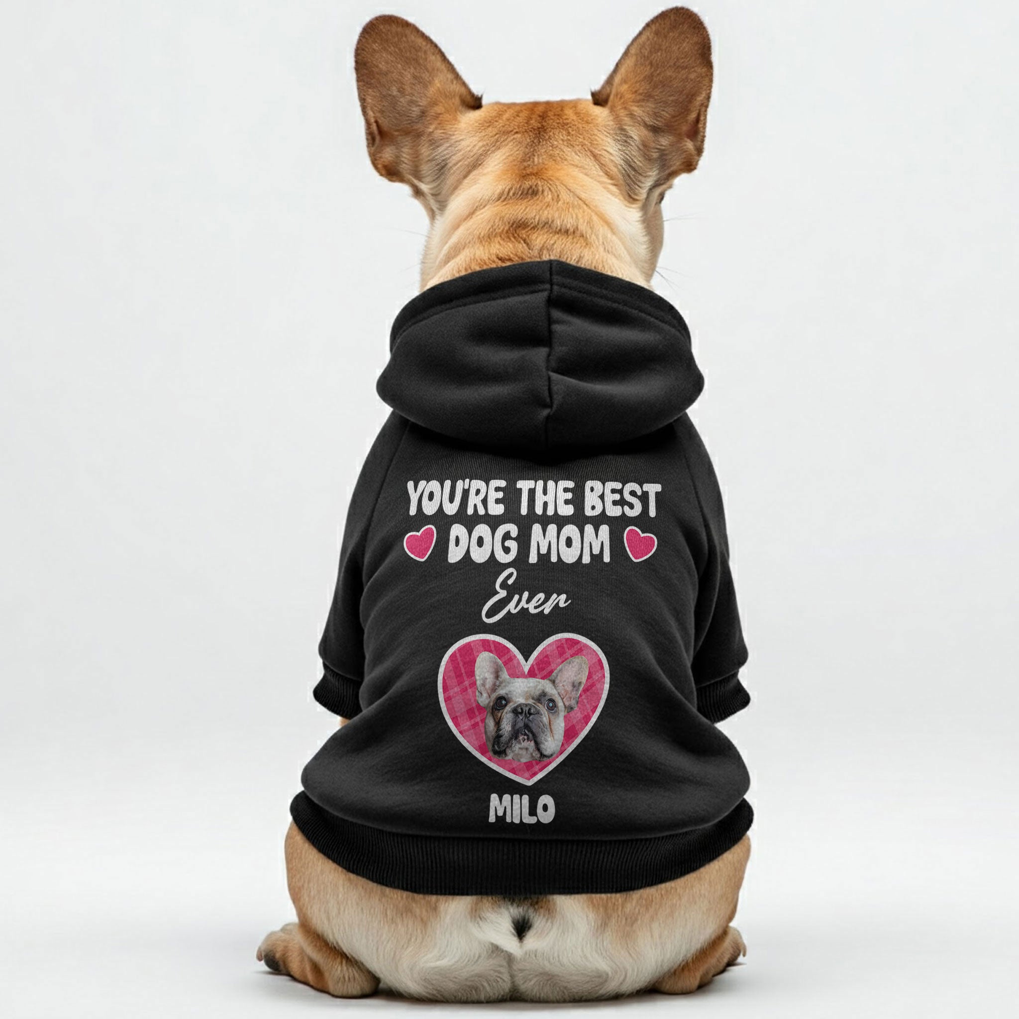 Your Frenchie– Stylish, Cozy, And Premium 100% Cotton Pet Owner Apparel