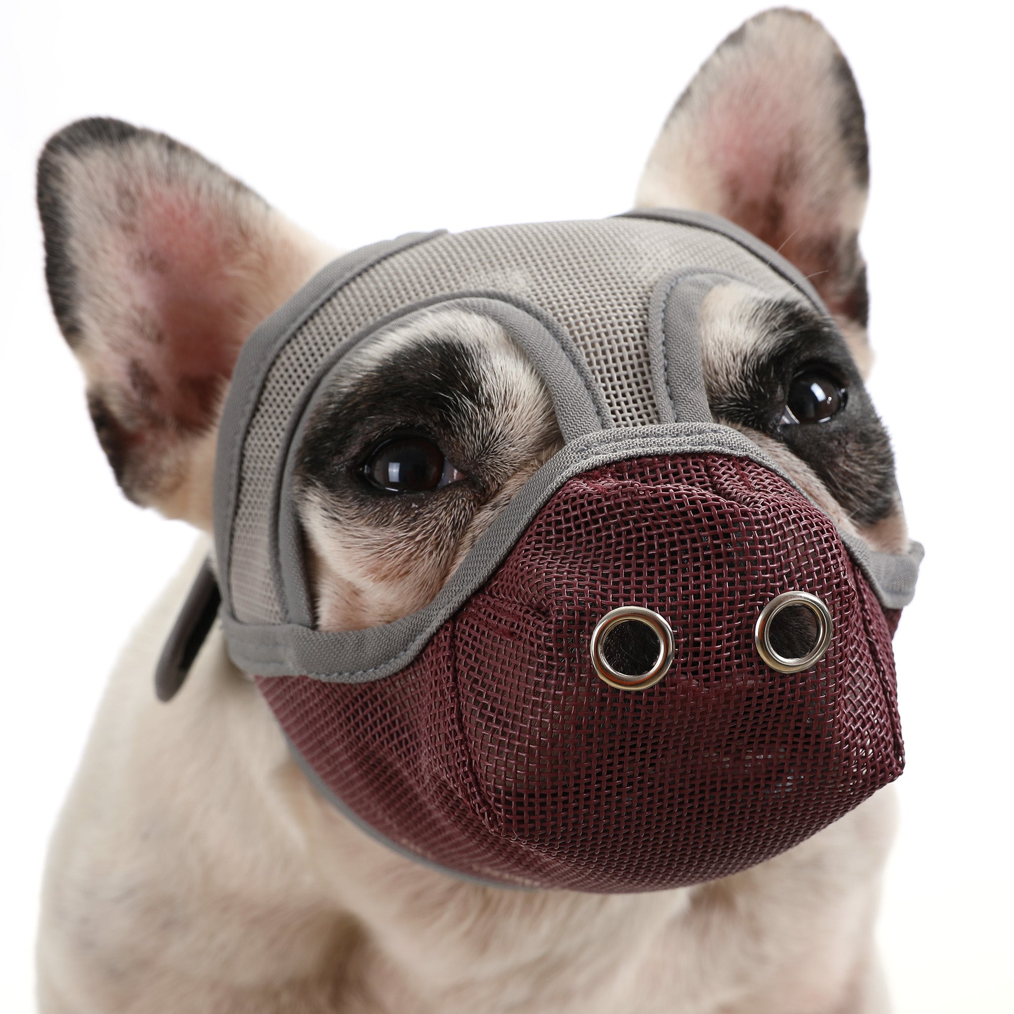Lifestyle-Driven Premium Adjustable Frenchie Muzzle - Mouth Cover For...