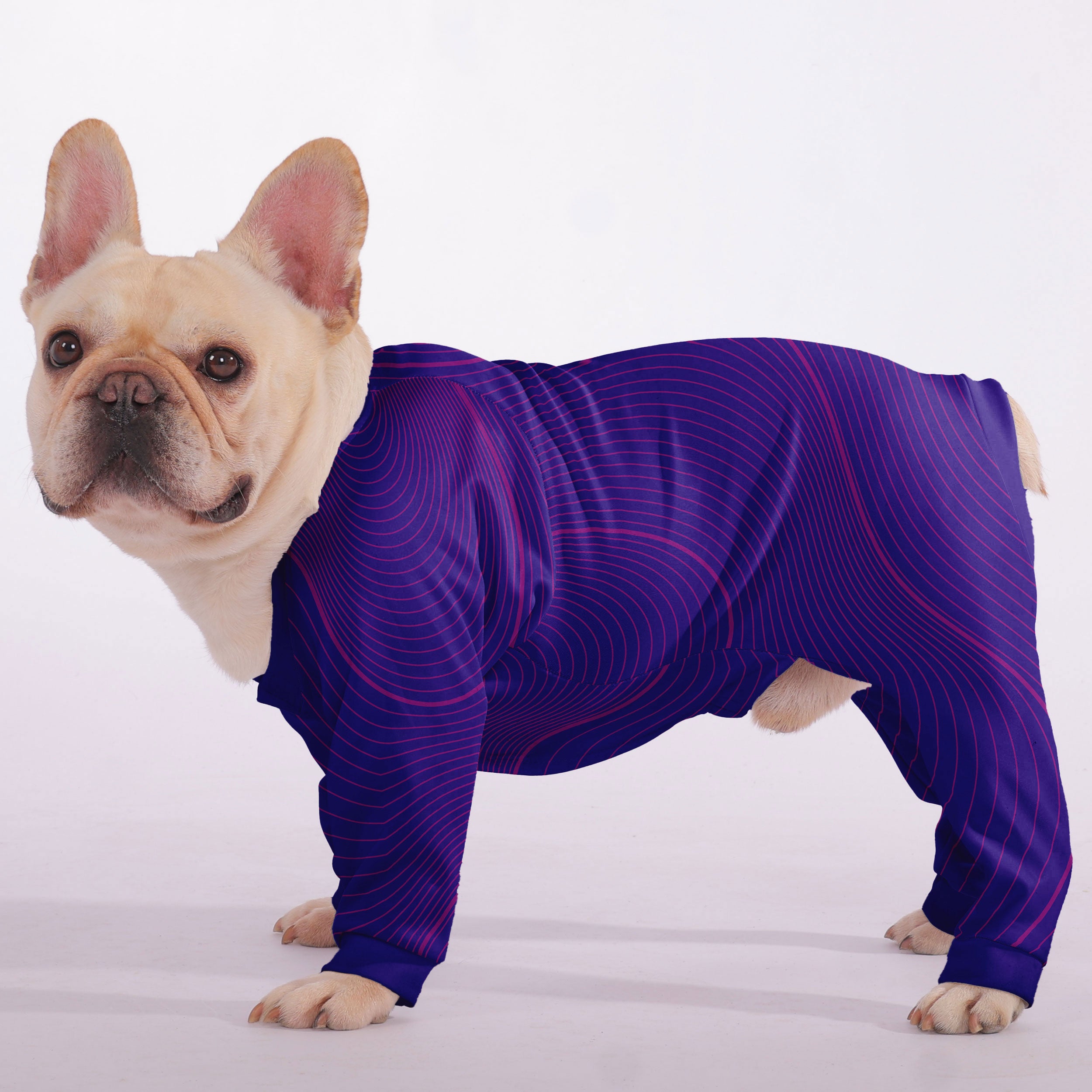 French Bulldog Chester Frenchie Pajamas Cute Frenchie Essential