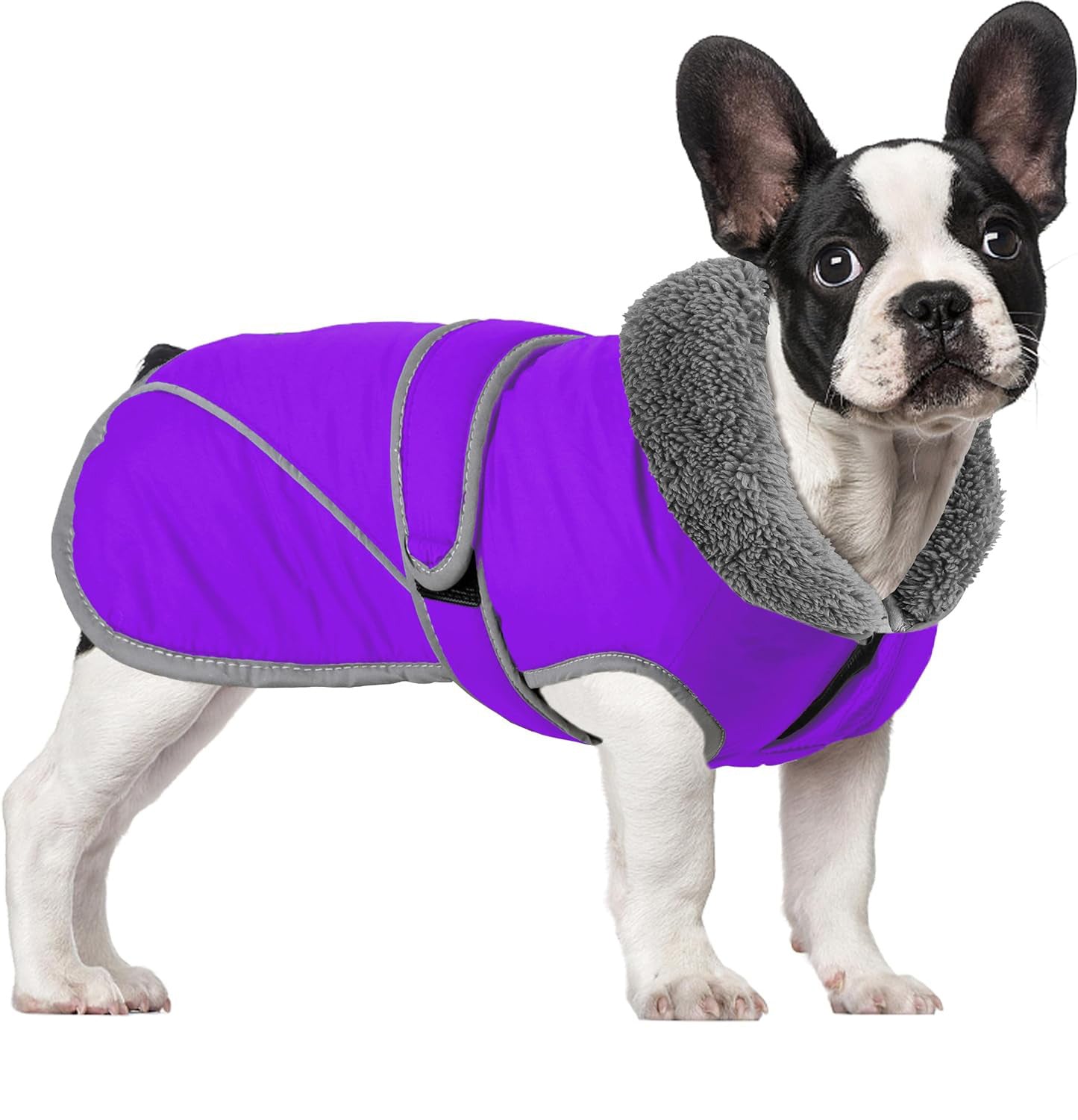 Fashion-Forward French Bulldog Cotton Jacket – Thick Warm High-neck P...