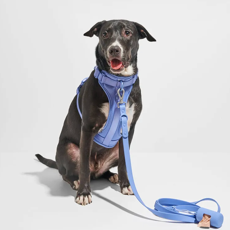 Quick Release Harness Leash Set Paw Protection | Vet-recommended