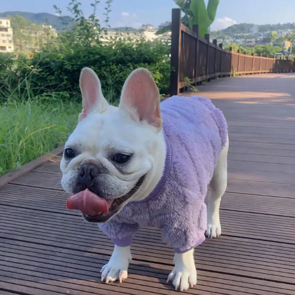 - Stylish Frenchie Winter Sweater Plush Dog Apparel For Dog Lovers
