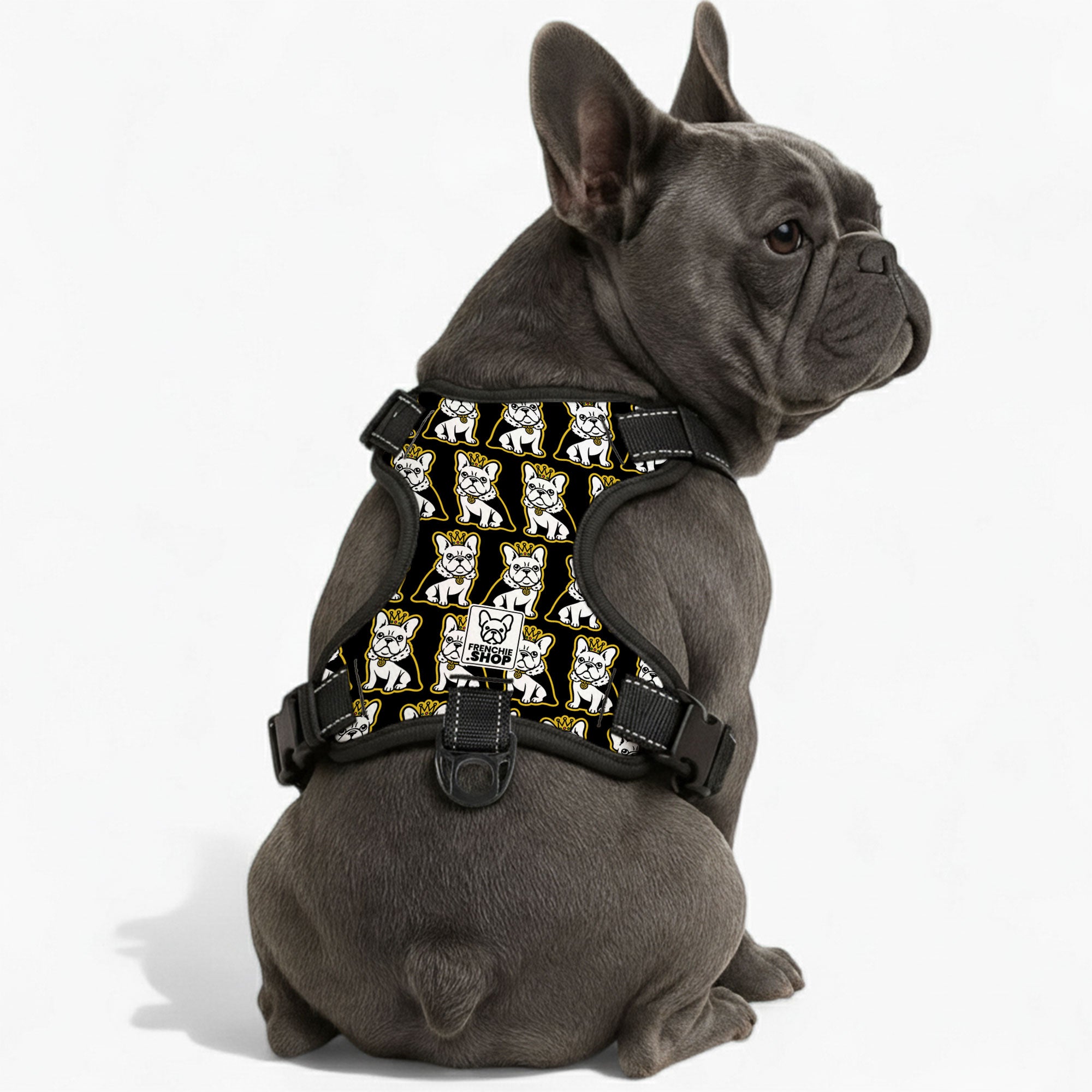 Ivonne - French Bulldog No-pull French Bulldog Dog Harness Pet Gear