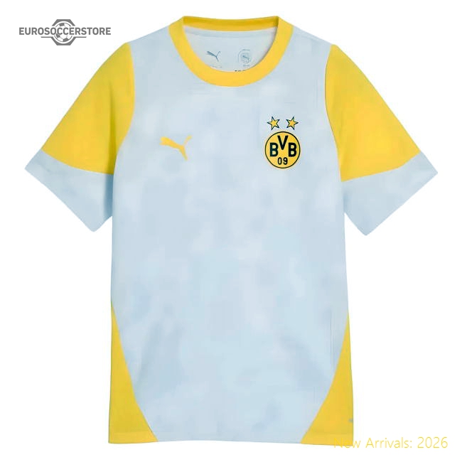 Authentic 2025-2026 Borussia Dortmund Training Jersey (Silver Mist) -