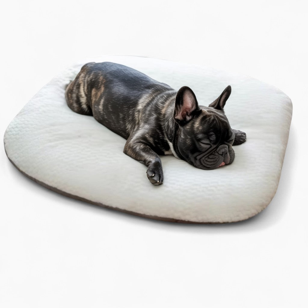 French Bulldogs – Soft Snuggly And Secure Paw Protection | Comfort Fit