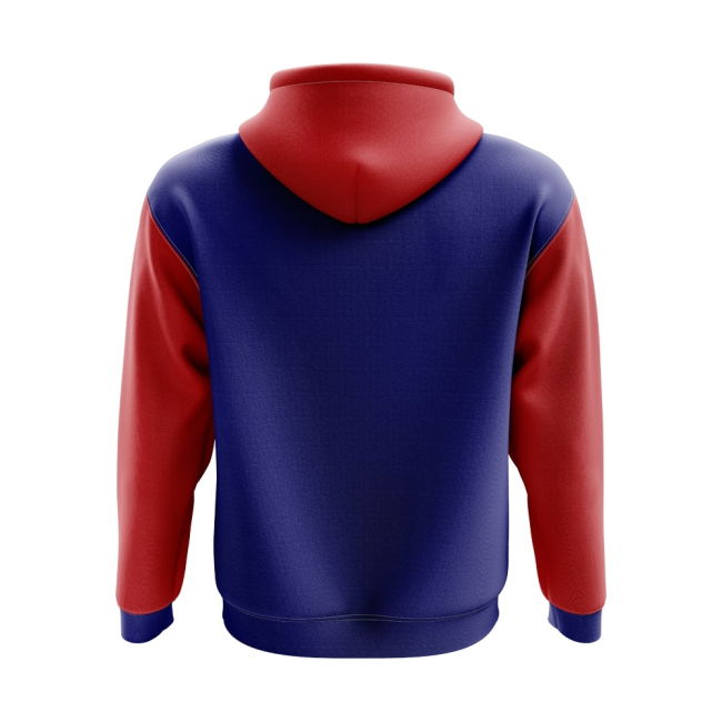 Collector'S-Item South Korea Concept Country Football Hoody (Blue)