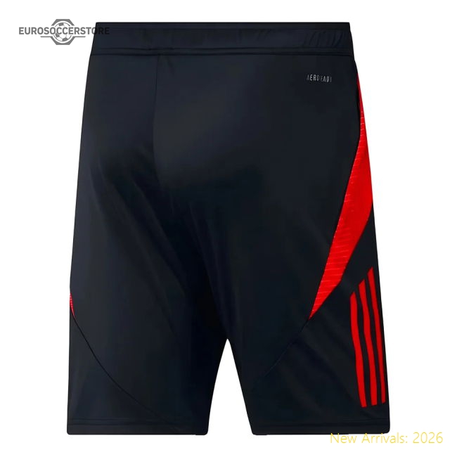 Premium Belgium 2024-2025 Training Shorts - Temperature-control