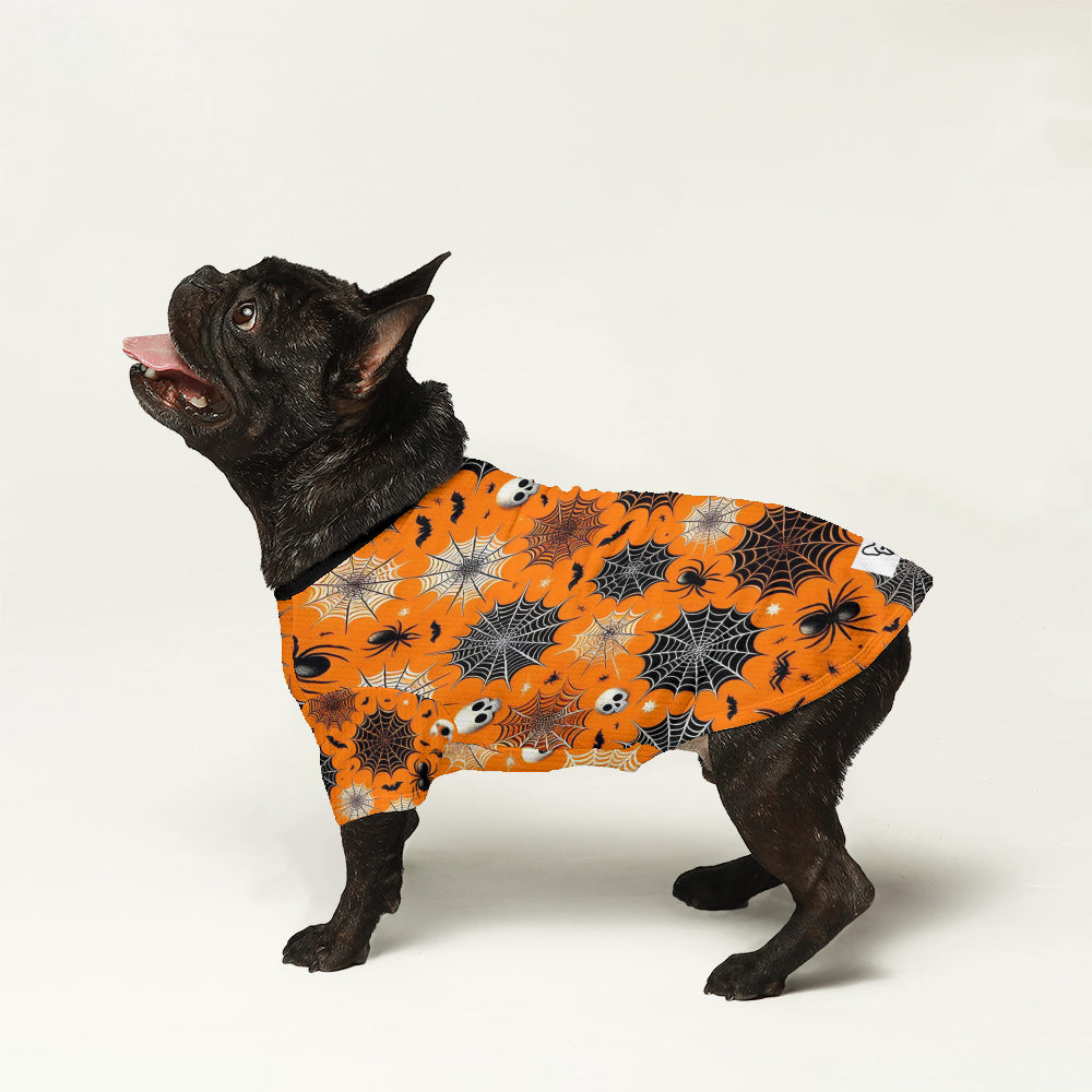 Morty - Wool Sweater for Frenchies