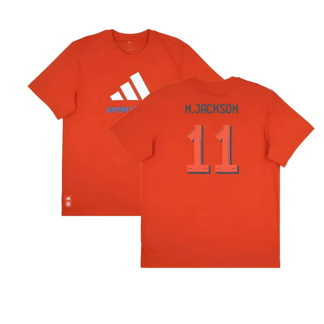 Bayern Munich Seasonal Graphic 2025-2026 T-Shirt - (Unisex