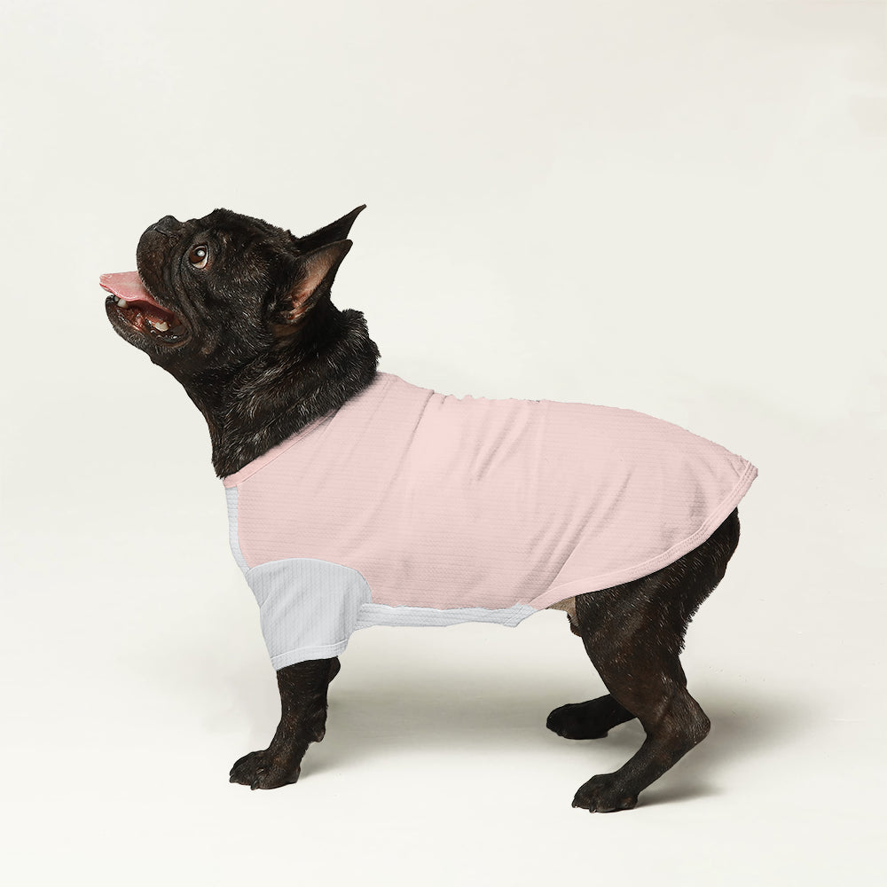 Lover Wool Sweater For Frenchies For Frenchie Fans | Unique Design