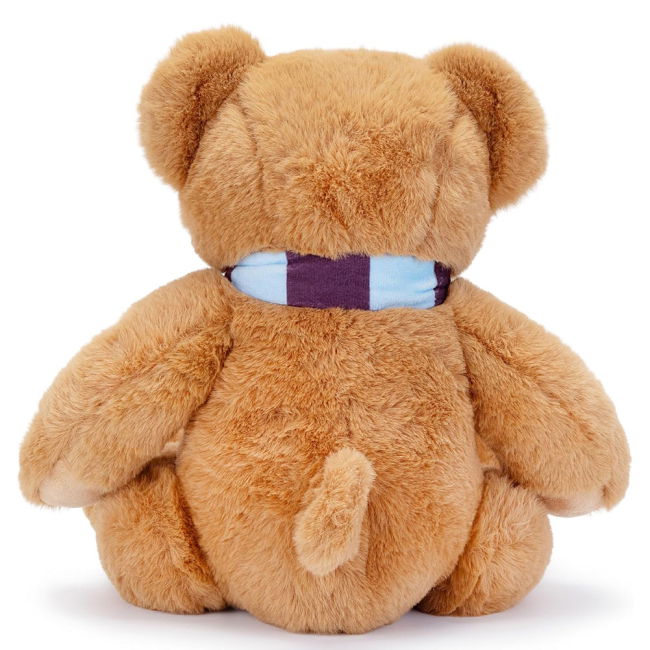 Elite Style Aston Villa Professional Look Home Professional Jersey (1)