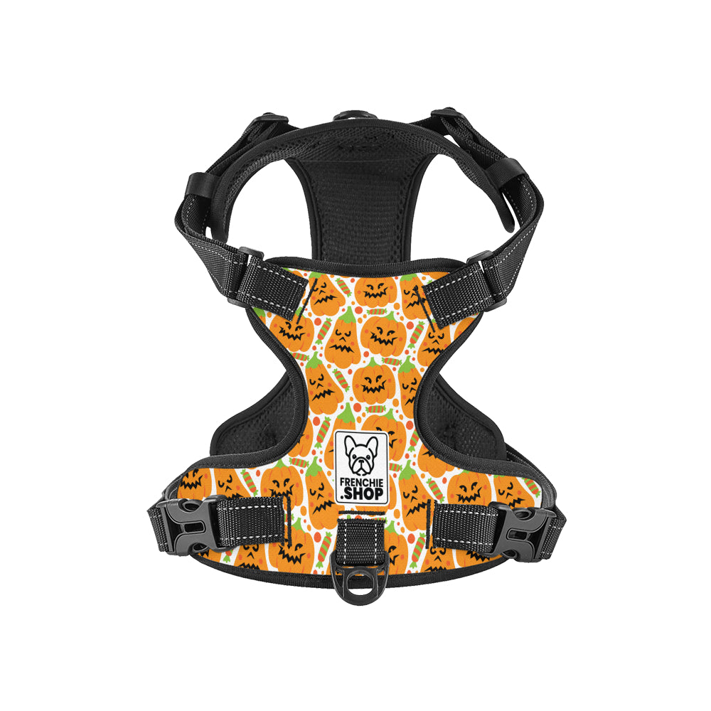 Louie - No-Pull French Bulldog Dog Harness