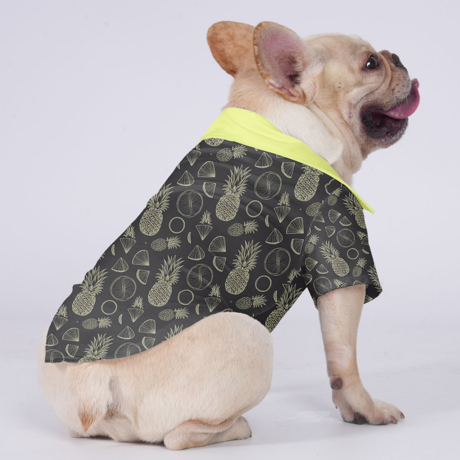 Everyday Comfortable Moose - Hawaiian Shirt For Frenchies for Home Use