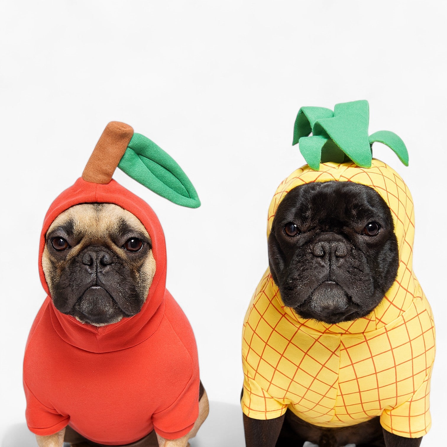 Barkana Frenchie Fruit Costume – Cute Apple Pineapple Dog Outfits