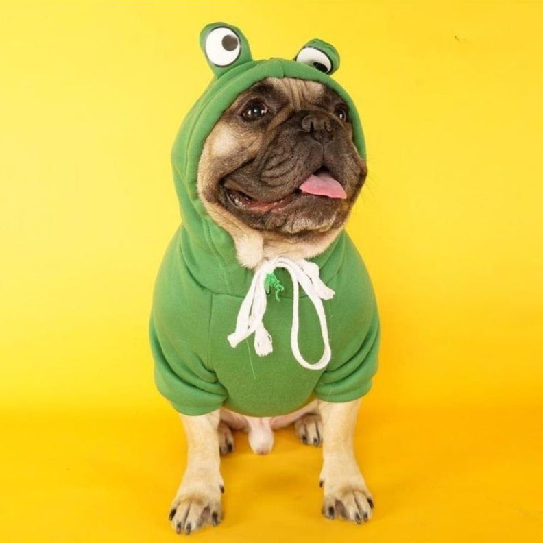 Frogy™ - Stylish Frenchie Winter Hoodie (wj13) Everyday Use