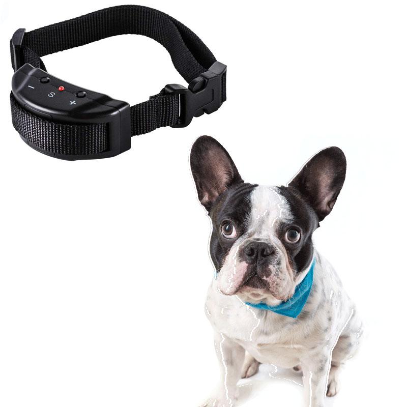 Stylish Street-Ready Anti Barking For French Bulldog for Fashion Lovers