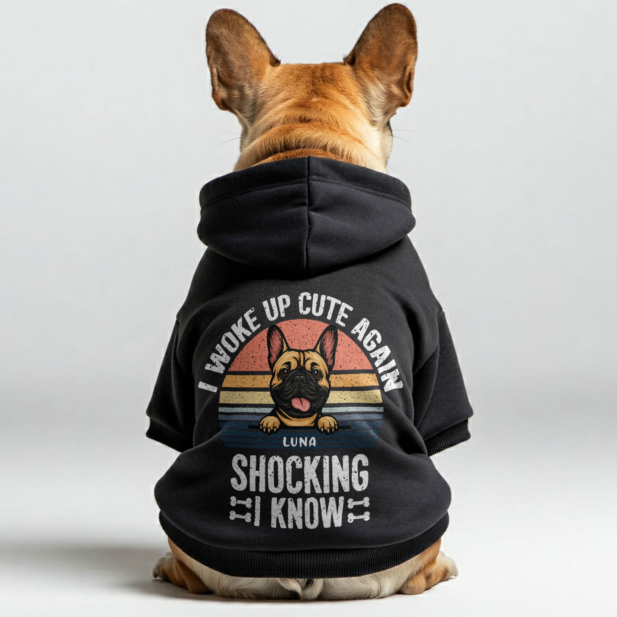 French Bulldog I Woke Up Personalized French Bulldog Hoodies With