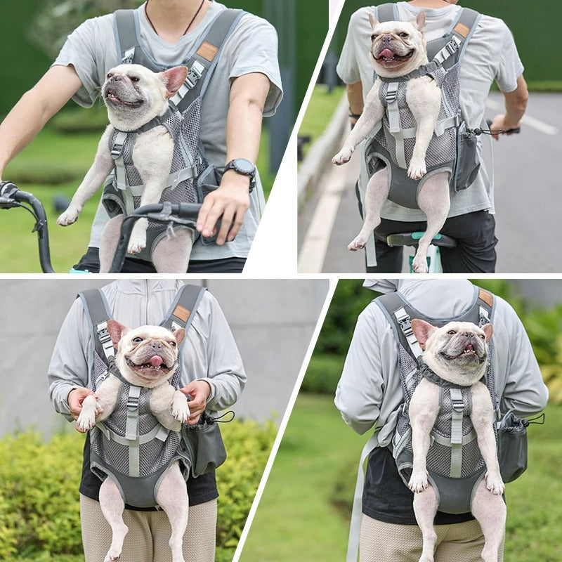 Fashion-Forward Pawporter French Bulldog Carrier Backpack – Travel An...