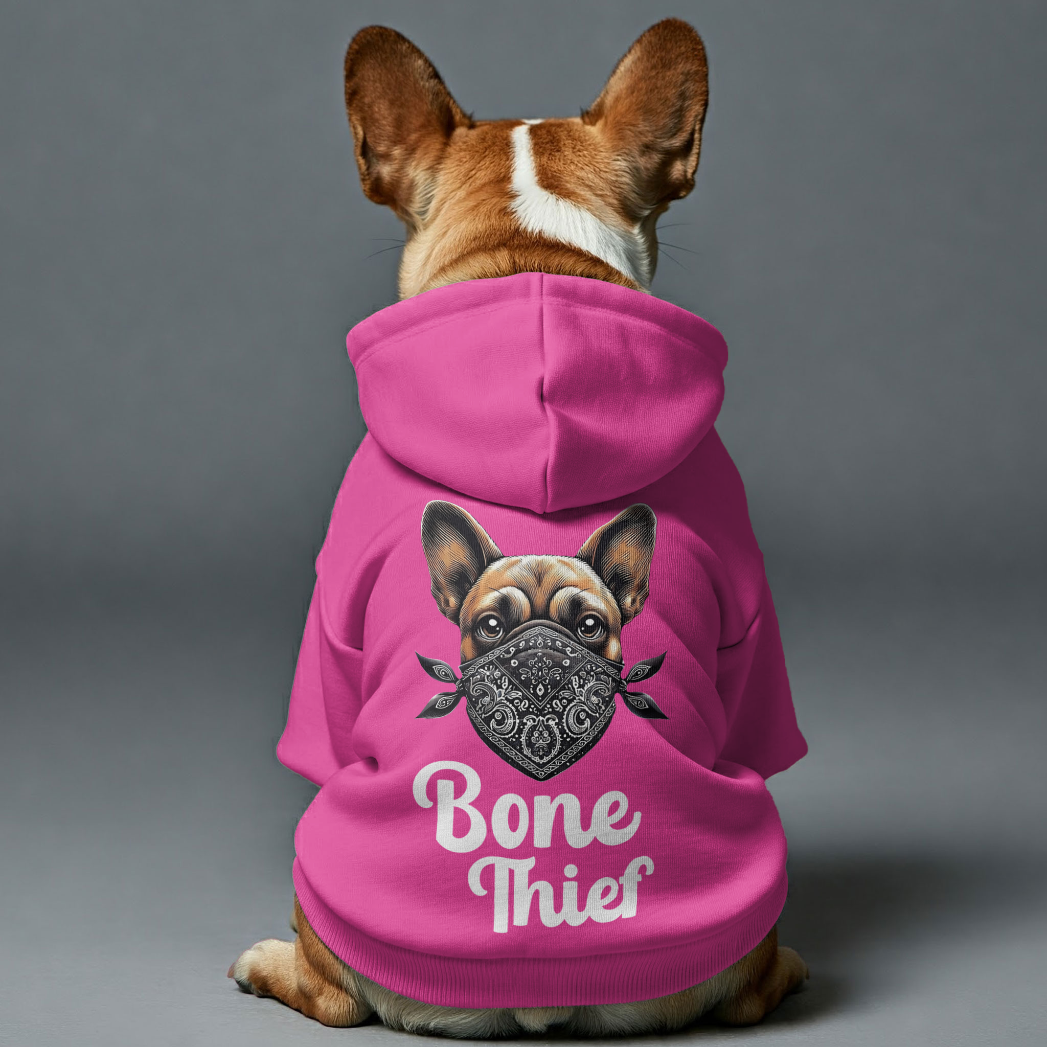 French Bulldog Bone Thief Personalized French Bulldog Hoodies With