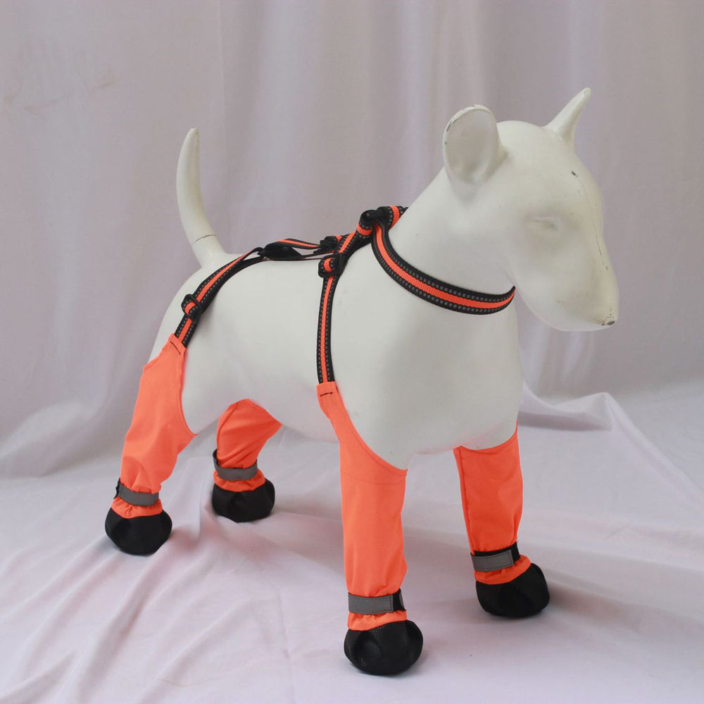 Shoes Claw Protector Waterproof For Frenchie Pups | Durable Build