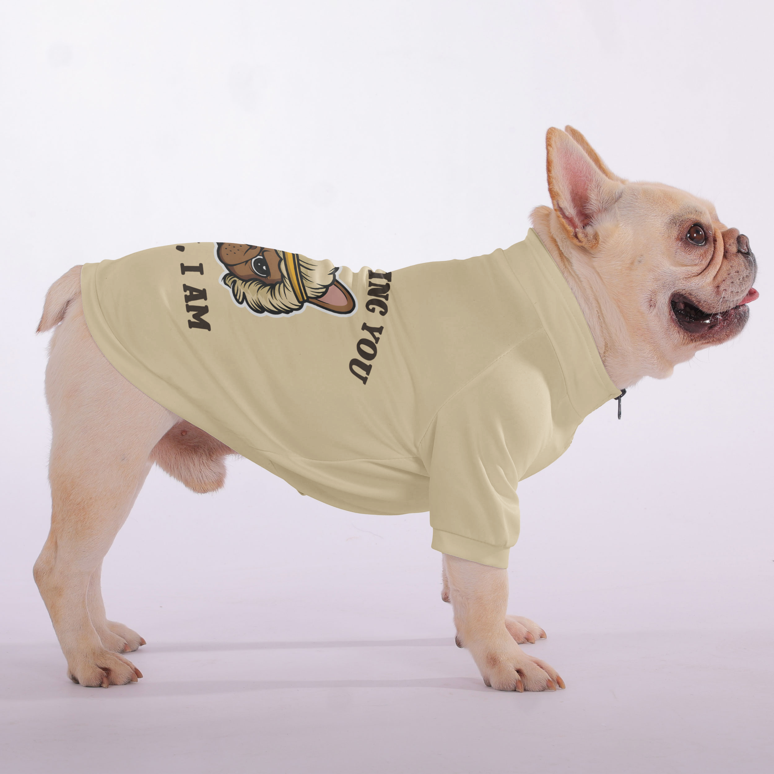 Not Judging You… Okay, I Am - Snuggly Zip-Up Sweatshirt for French Bulldogs
