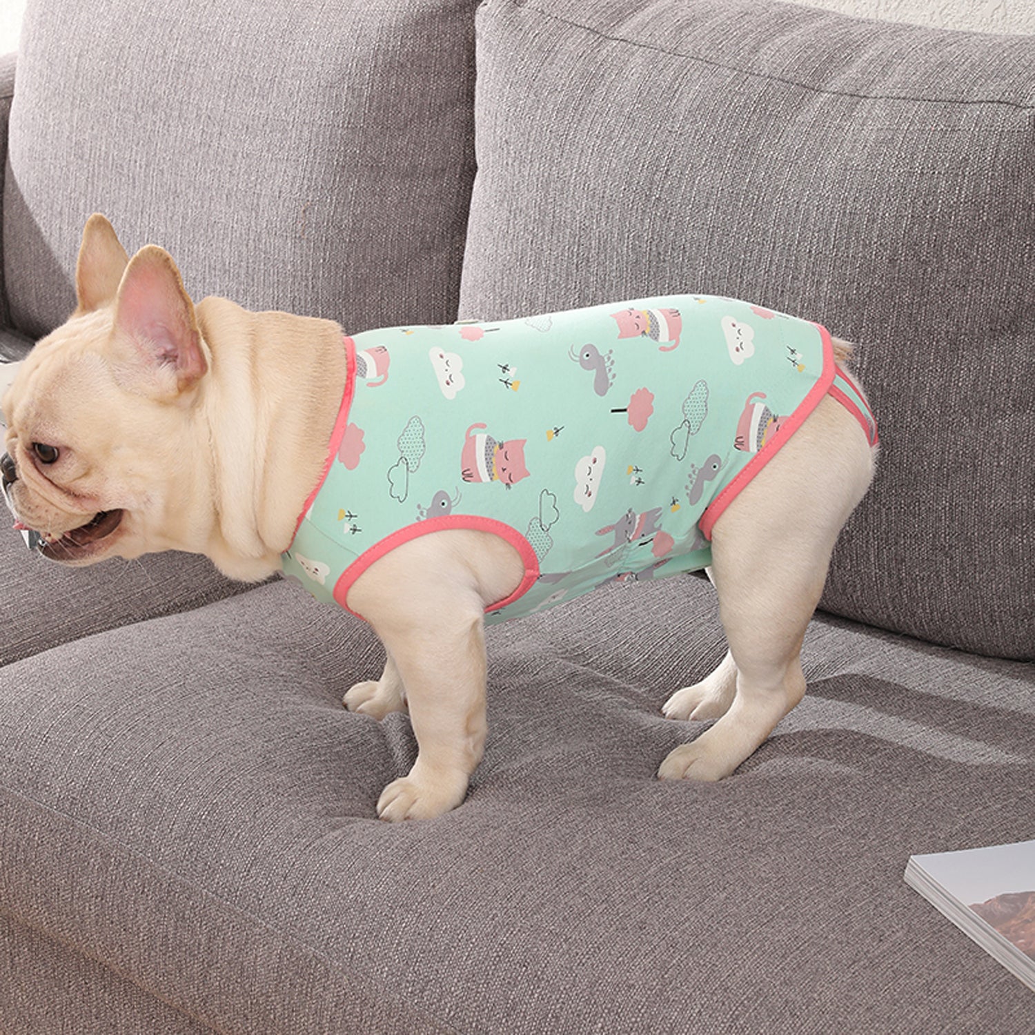 French Bulldog Lover Pawjoy French Bulldog Physiological Pants – Cute
