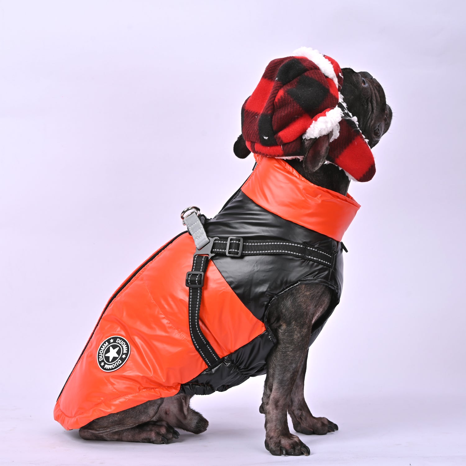 Snuggles Frenchie Warm Reflective Winter Jacket V1 Summer Wear