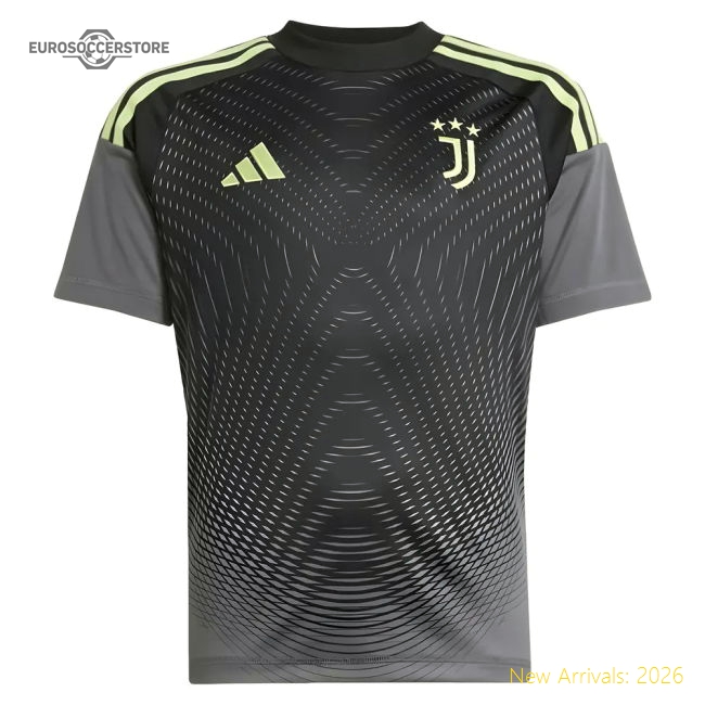 Premium 2025-2026 Juventus Home Goalkeeper Shirt (Grey) - Kids