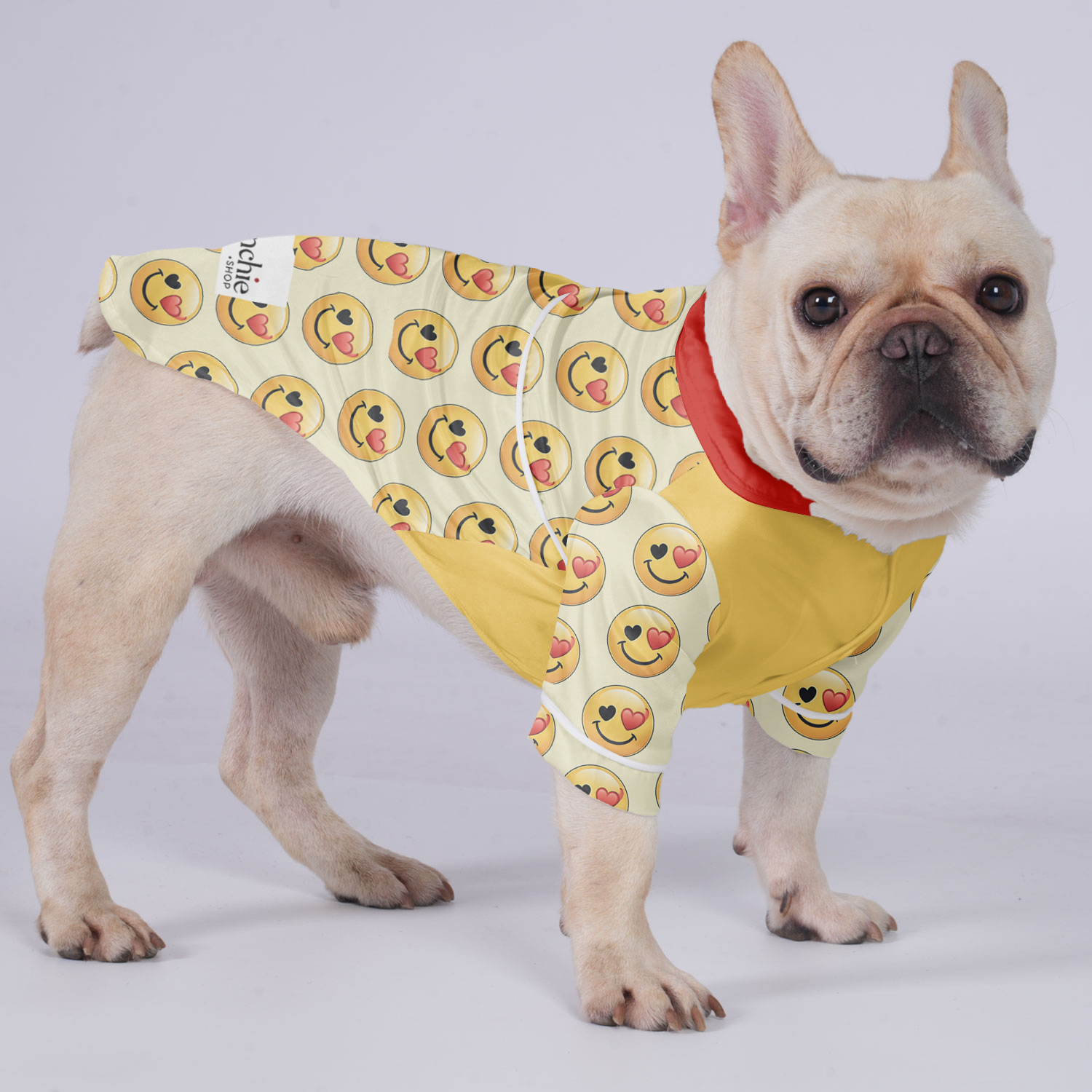 French Bulldog Lily - Warm Pajamas For French Bulldog Outdoor Use