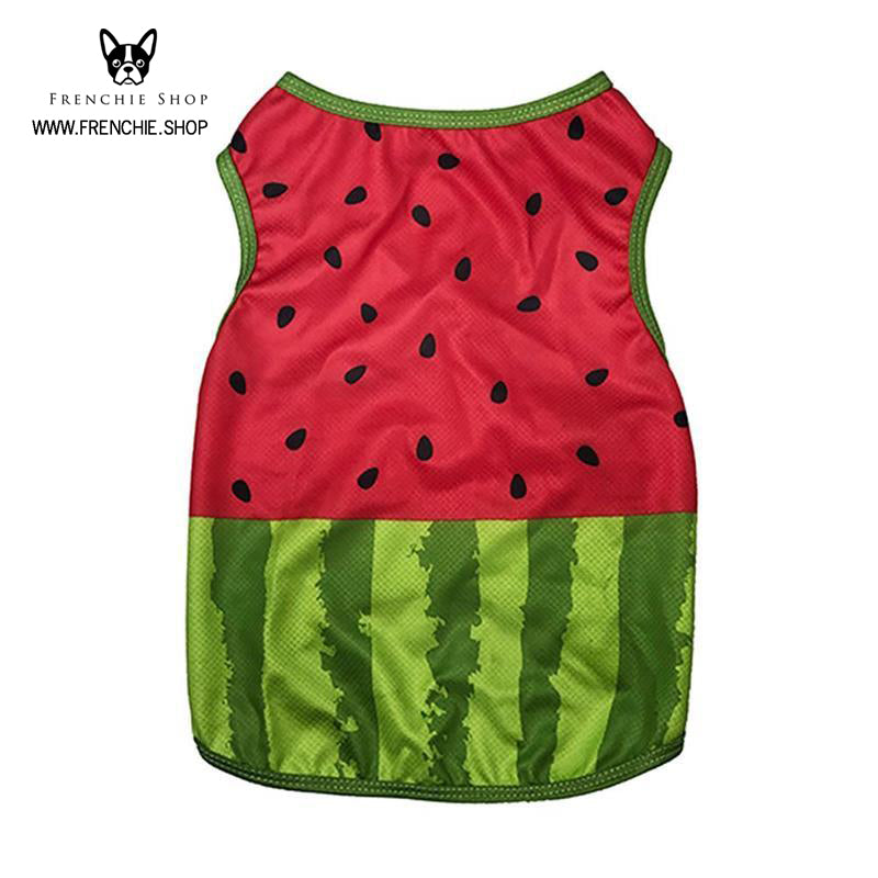 French Bulldog Coolify™ V2: Summer Cooling Shirt (cs18) Durable Dog Item